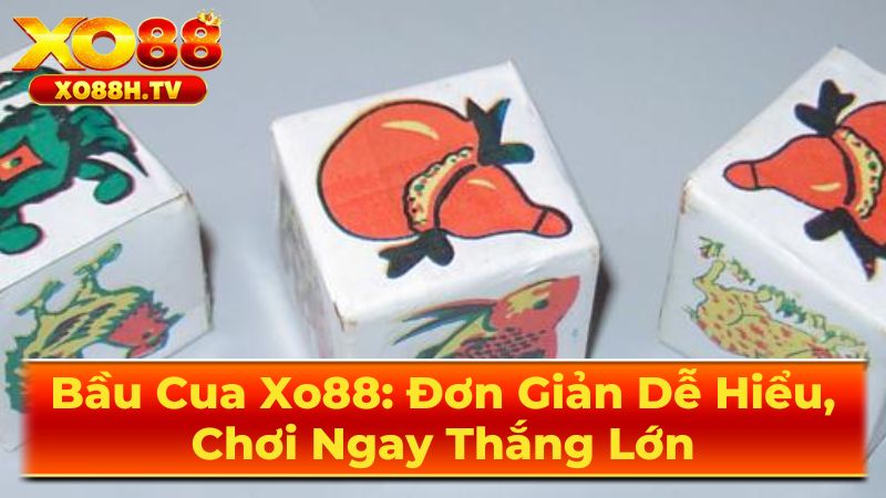 Khám Phá Chi Tiết Về Bầu Cua