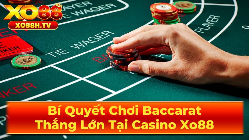 Các Loại Cược Trong Baccarat