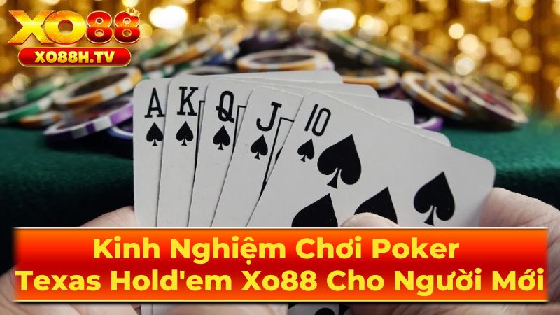 Kinh Nghiệm Chơi Poker Texas Hold'em Xo88 Cho Người Mới 3 Mẹo Chơi Texas Hold'em Cho Người Mới