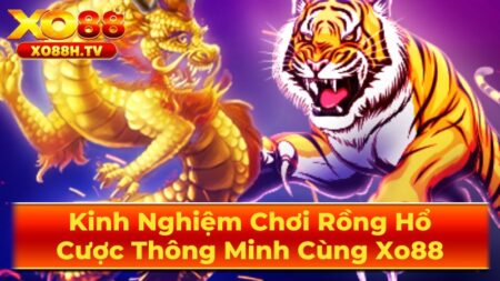 Những Mẹo Chơi Rồng Hổ Hiệu Quả