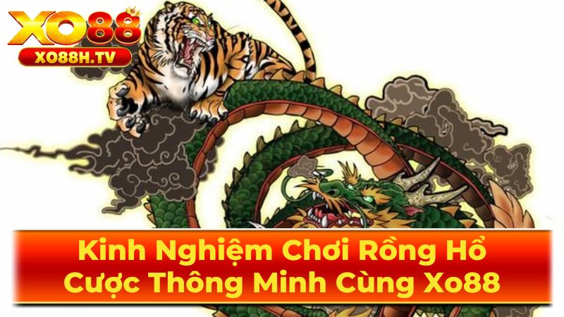 Chiến Thuật Chơi Rồng Hổ Chuyên Nghiệp