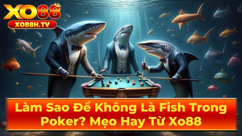 Fish Trong Poker: Định Nghĩa Và Đặc Điểm