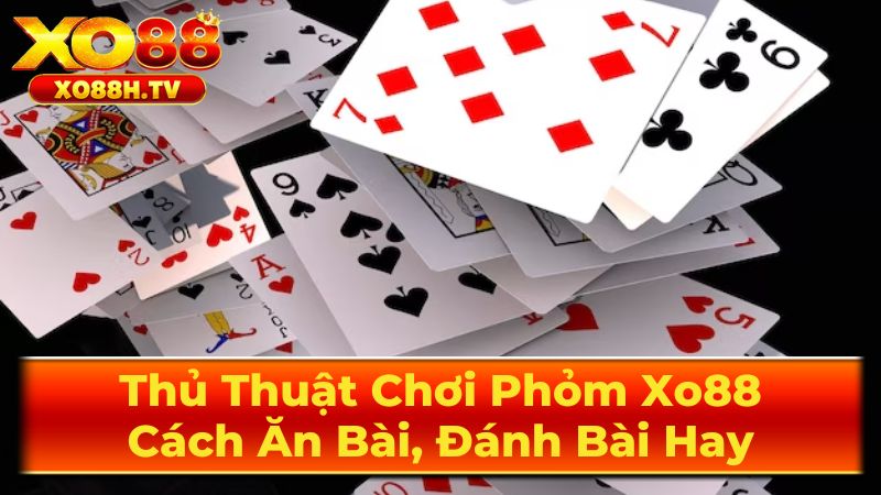 Thủ Thuật Chơi Phỏm Xo88: Cách Ăn Bài, Đánh Bài Hay 3 Văn hóa và quy tắc ứng xử khi chơi Mậu Binh
