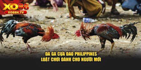 Chi Tiết Hướng Dẫn Chơi Đá Gà Cựa Dao Philipines Tại Xo88