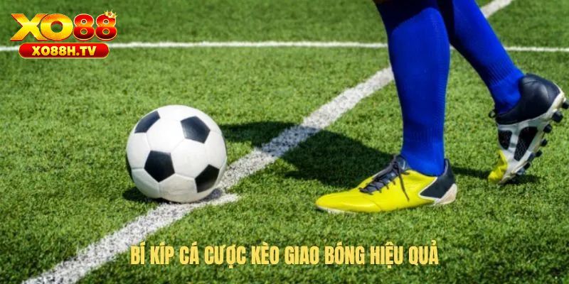 Chi Tiết Sự Thật Về Kèo Giao Bóng Trước Tại Hệ Thống Xo88 3 Những lưu ý cần thiết